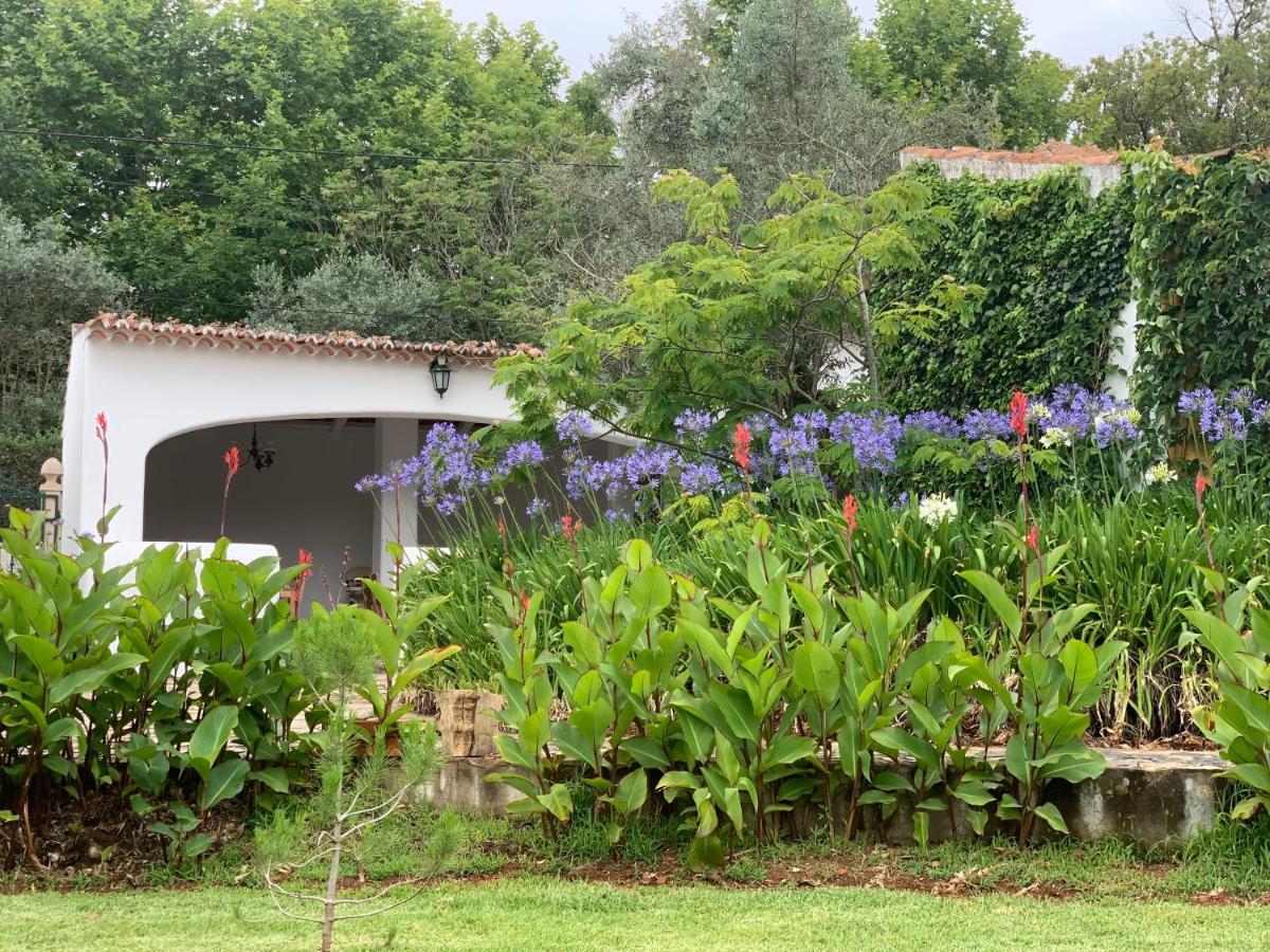 Quinta Dos Girassois Fz Apartment Ferreira do Zezere Bagian luar foto